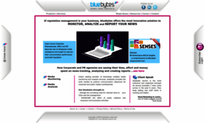 Services.bluebytes.info thumbnail