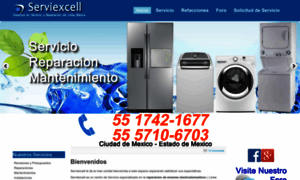 Serviexcell.com.mx thumbnail