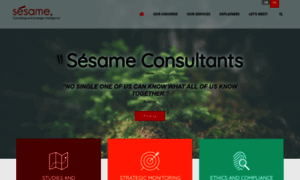 Sesame-consultants.com thumbnail