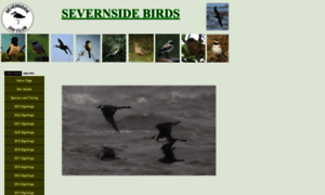 Severnsidebirds.co.uk thumbnail