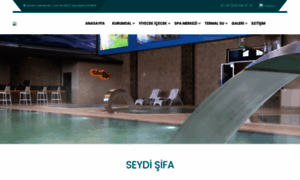 Seydisifa.com thumbnail