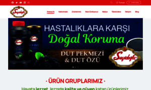 Seyidoglu.com.tr thumbnail