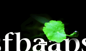 Sfbaaps.org thumbnail