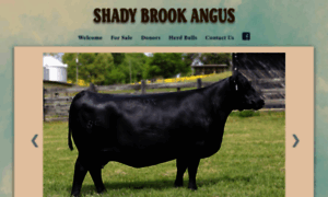 Shadybrookangusfarm.com thumbnail