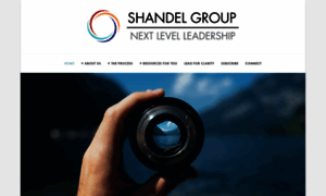 Shandelgroup.com thumbnail