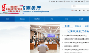 Shandongbusiness.gov.cn thumbnail