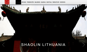 Shaolin.lt thumbnail