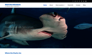 Sharkdiveadventures.com thumbnail