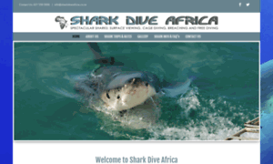 Sharkdiveafrica.co.za thumbnail