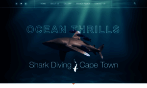 Sharkdiving-capetown.co.za thumbnail