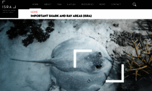 Sharkrayareas.org thumbnail