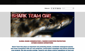 Sharkteamone.org thumbnail