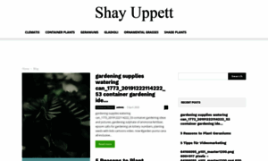 Shay.vinyl-records-still-live.com thumbnail