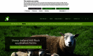 Sheep.ie thumbnail