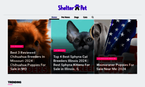 Shelterapet.com thumbnail