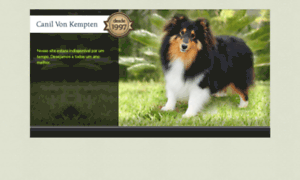 Sheltie.com.br thumbnail