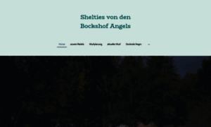 Shelties-von-den-bockshof-angels.de thumbnail