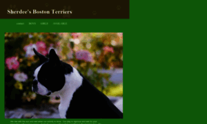 Sherdeesbostonterriers.com thumbnail