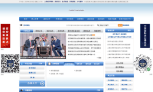 Shfao.gov.cn thumbnail