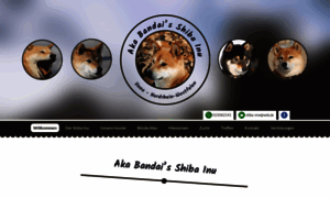 Shiba-nrw.de thumbnail