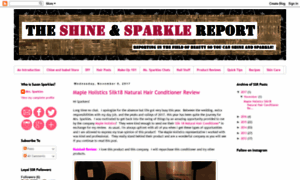 Shineandsparklereport.blogspot.com thumbnail