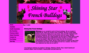 Shiningstarfrenchbulldogs.net thumbnail