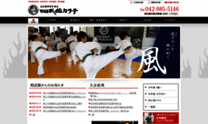 Shobukan-karate.com thumbnail