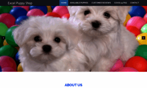 Shop-puppies.com thumbnail