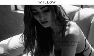 Shopwillow.com thumbnail