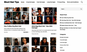 Shorthairtips.com thumbnail
