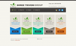 Shreetrivenigroup.com thumbnail