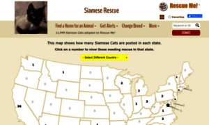 Siamese.rescueme.org thumbnail