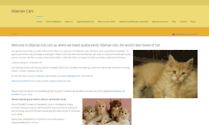 Siberian-cat.com.au thumbnail