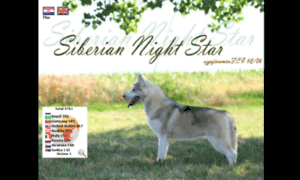 Siberian-nightstar.com thumbnail