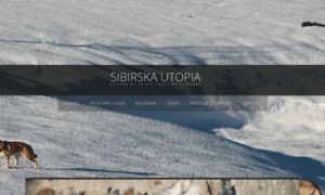 Sibirska-utopia.fr thumbnail