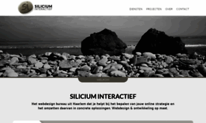 Silicium.nl thumbnail