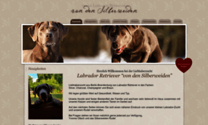 Silver-labrador-von-den-silberweiden.de thumbnail