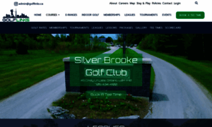 Silverbrooke.com thumbnail