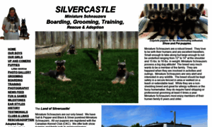 Silvercastle.ca thumbnail