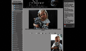 Silverfantasy.net thumbnail