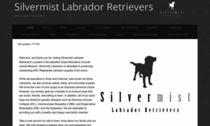Silvermistlabs.com thumbnail