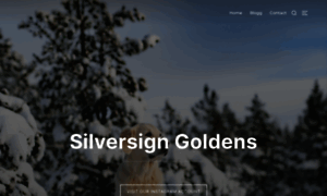 Silversign.se thumbnail