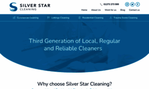 Silverstarcleaning.co.uk thumbnail