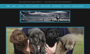 Silvervalleykennels.com thumbnail