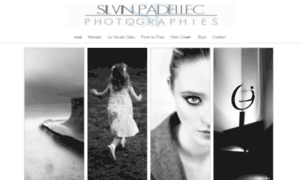 Silvin-padellec.com thumbnail