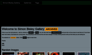 Simonbisleygallery.com thumbnail