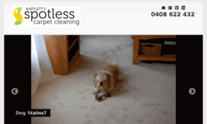 Simplyspotlesscarpetcleaning.com.au thumbnail