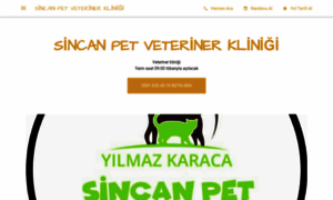 Sincan-pet-veteriner-klinigi.business.site thumbnail