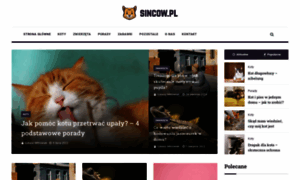 Sincow.pl thumbnail