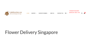 Singaporefloristdelivery.com thumbnail